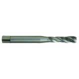 Taraud machine Standard HSSE-PM -M MF -DIN 371 -Forme C -6H -Queue renforcée