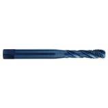Standard machine tap HSSE-PM -STEAM treatment -M MF -DIN 371 -C Shape -6H -Rear conicity -Reinforced shank